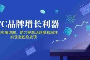 （10849期）DTC 品牌 增长利器：Facebook Group私域 营销，提高活跃度和粘性 实现