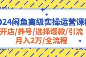 （10711期）2024闲鱼高级实操运营课程：开店/养号/选择爆款/引流/月入2万/全流程