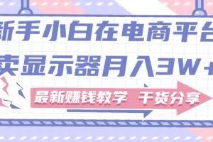 （11053期）新手小白如何做到在电商平台卖显示器月入3W+，最新赚钱教学干货分享