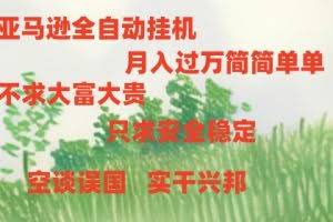 （11124期）亚马逊全自动浏览挂机