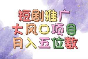 (11879期)拥有睡眠收益的短剧推广大风口项目,十分钟学会,多赛道选择,月入五位数