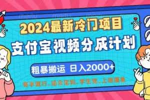 （12407期）2024最新冷门项目！支付宝视频分成计划，直接粗暴搬运，日入2000+，有…