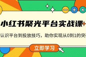 （13775期）小红书 聚光平台实战课，从认识平台到投放技巧，助你实现从0到1的突破