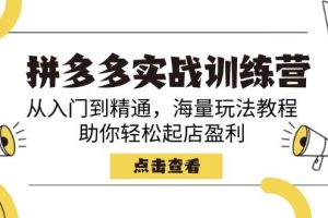 （14392期）拼多多实战训练营，从入门到精通，海量玩法教程，助你轻松起店盈利