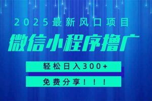 （14375期）微信小程序撸广，最新风口项目，日入300+ 免费分享 可批量操作 小白可…