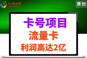 （14642期）19元180G，卡号项目，流量卡推广项目揭秘拆解，日入500+