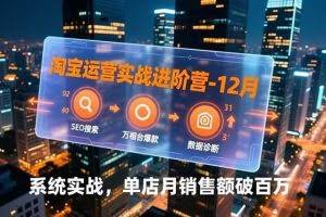 （16974期）淘宝运营实战进阶营-12月：SEO搜索、万相台爆款、数据诊断，系统实战，单店月销售额破百万