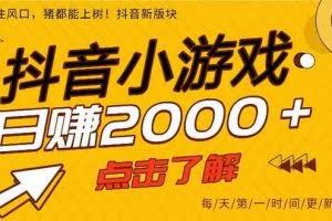 （16724期）25年爆火的抖音小游戏项目，一部手机日入2000+