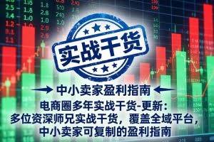 （18534期）电商圈多年实战干货-更新5月20：多位资深师兄实战干货/覆盖全域平台，中小卖家可复制的盈利指南