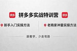 （18468期）拼多多实战特训营(更新5月15)：不管是新手入门或老商家冲量，都有实操方法，跟着学，少走弯路